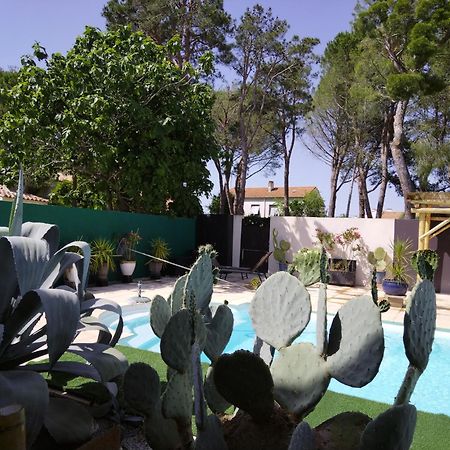 Appartamento Majopau Boujan-sur-Libron Esterno foto
